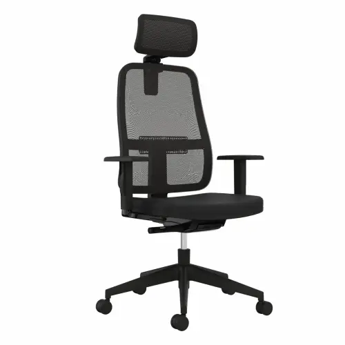Fauteuil PAUL - Avec accotoirs - Têtière - Livré monté