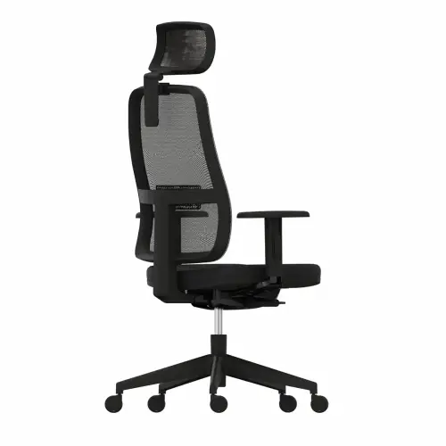 Fauteuil PAUL - Avec accotoirs - Têtière - Livré monté