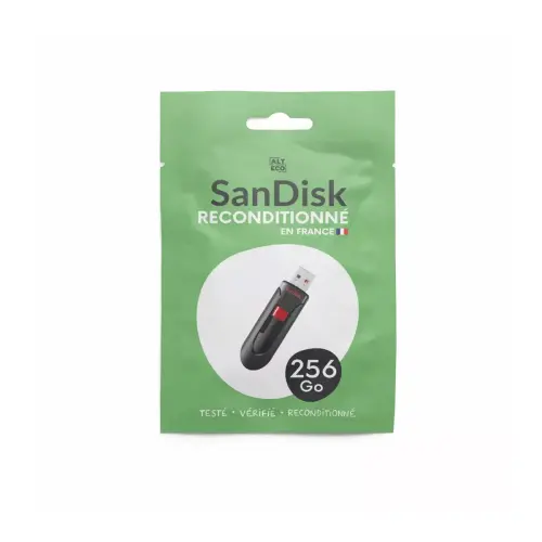 Clé USB 2.0 - 256 Go - Sandisk
