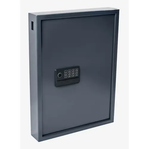 Armoire 50 clefs haute securit&eacute; serie  ADVANCED - Pavo 