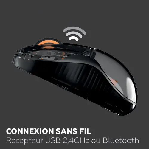 Souris sans fil - Bluetooth - Noir - Mobility Lab 