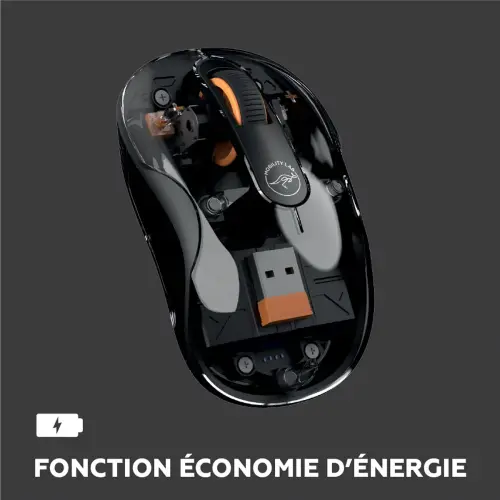 Souris sans fil - Bluetooth - Noir - Mobility Lab 
