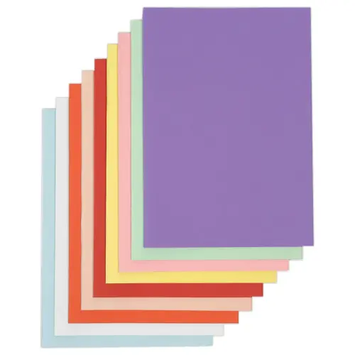 250 Sous-chemises 22 x 31 cm - Coloris assortis
