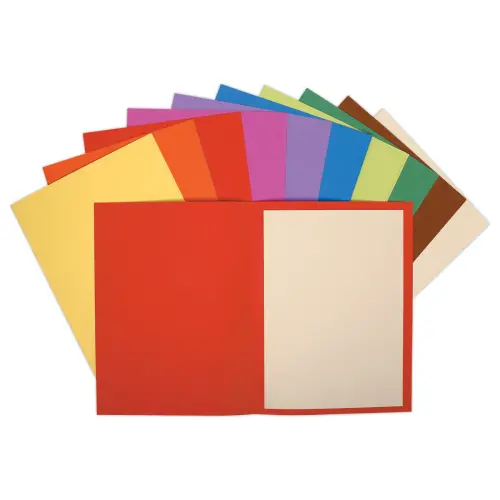 100 Chemises 24x32 cm - 220 g - EXACOMPTA
