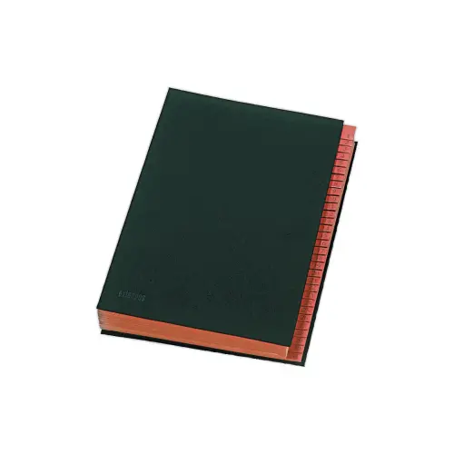 Trieur num&eacute;rique grande capacit&eacute; - Noir - EXTENDOS 