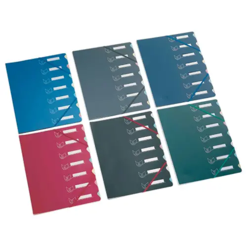 Trieur chemise bi-mati&egrave;re  - 7 compartiments - EXTENDOS 