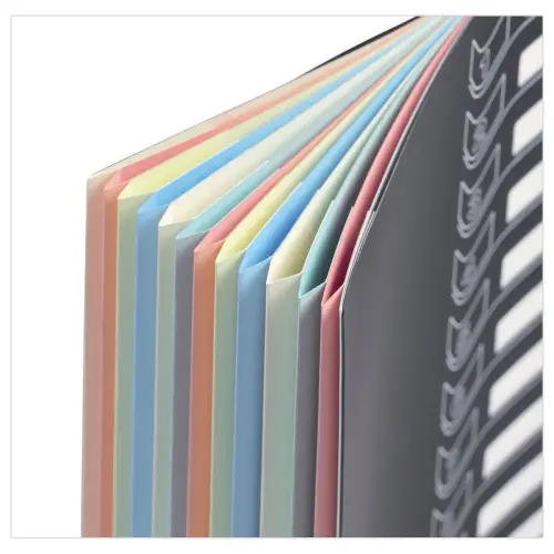 Trieur chemise bi-mati&egrave;re  - 7 compartiments - EXTENDOS 