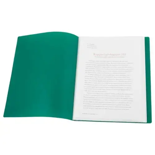 Protège-documents A4 - Vert - 40 pochettes