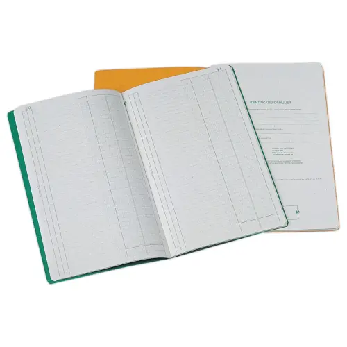 Piq&ucirc;re journal B17600 n&eacute;erlandais 