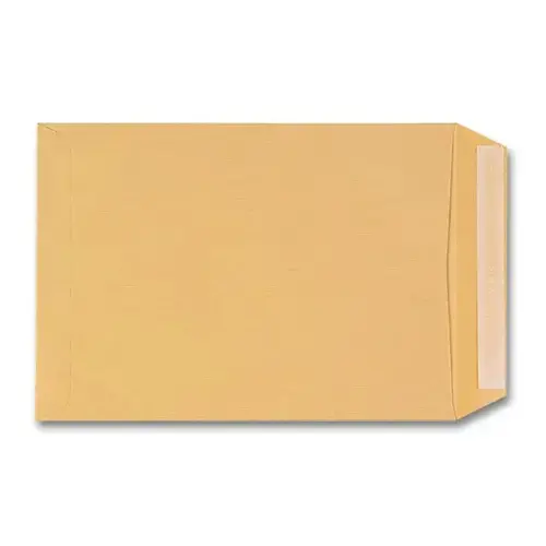 250 Pochettes kraft brun - 90 g - 250 x 352 mm - GPV EVERYDAY