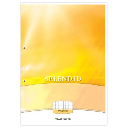 Bloc de 100 feuilles - A4 - Quadrillage 4 x 8 mm - 2 perforations - AURORA
