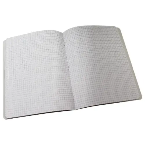 Cahier agraf&eacute; - 17 x 22 cm - Carreaux 5x5 - 96 pages - Fiducial 