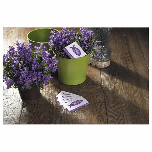 Bo&icirc;te de 250 cartes de visite mates laser couleur - 85x54mm - AVERY 