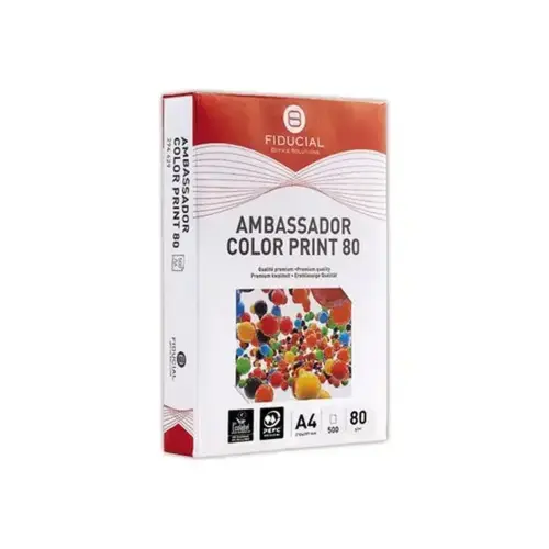 240 Ramettes de 500 flles papier blanc A4 80g AMBASS. COLOR PRINT FIDUCIAL