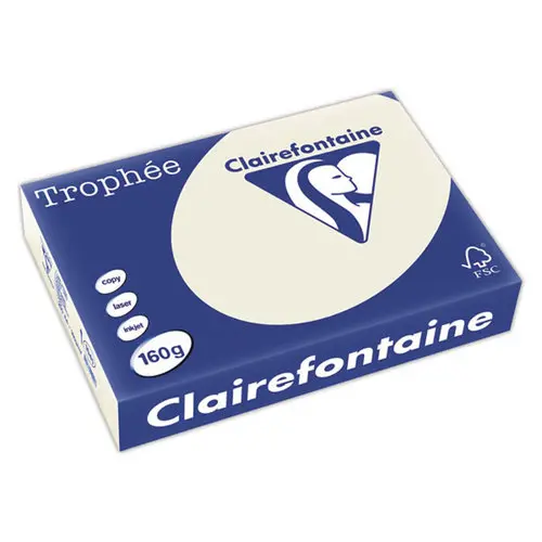Ramette de 250 feuilles papier A4 color&eacute; gris pastel - Clairefontaine 