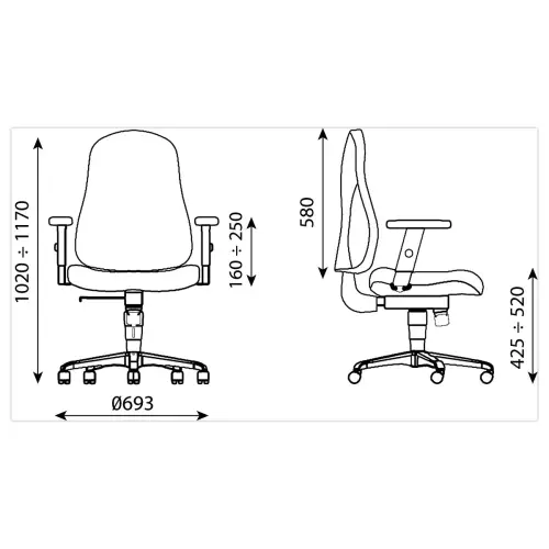Siège de bureau ergonomique noir Bizzi
