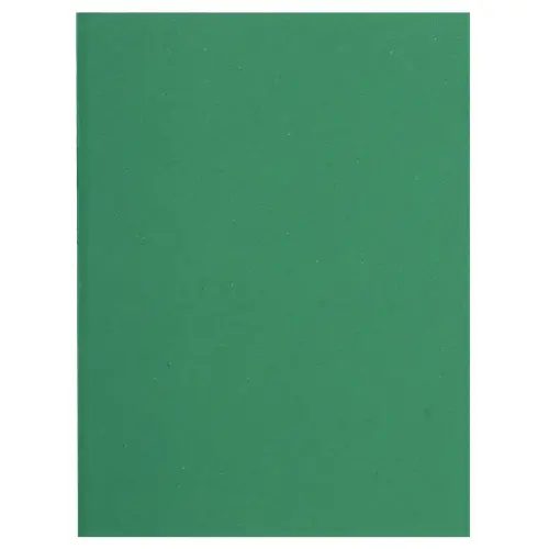 Paquet de 100 sous-chemises FLASH 80 100% recyclé - 22x31cm - Vert - EXACOMPTA