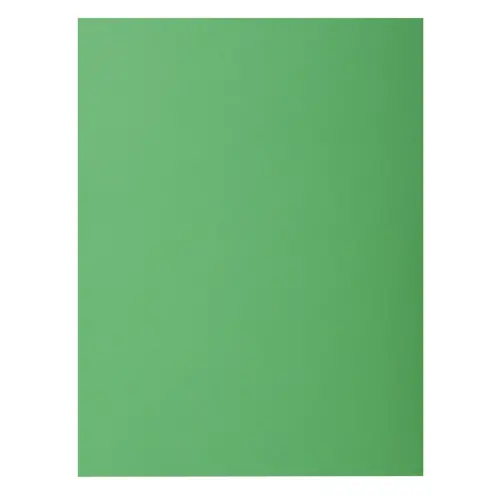 Paquet de 10 chemises ROCK'S 210 - 24 x 32 cm - Sapin - Exacompta 
