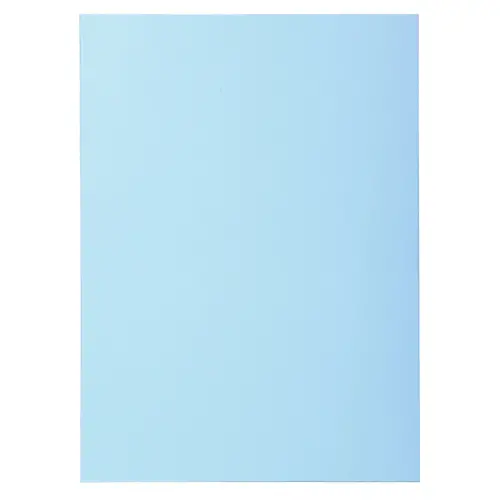 Paquet de 30 sous-chemises SUPER 60 - 22x31cm - Couleurs assorties - EXACOMPTA