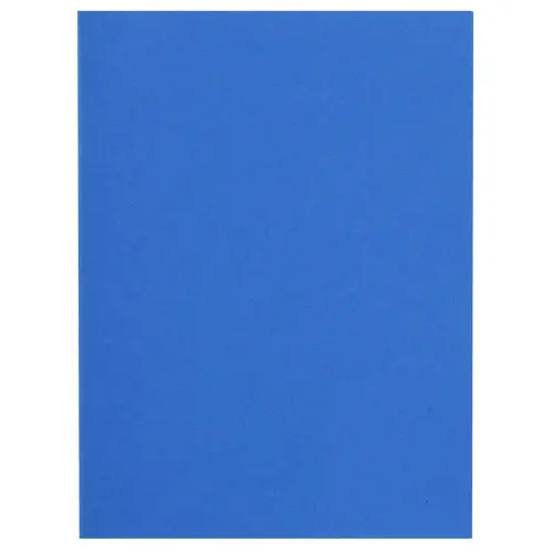 Paquet de 100 chemises FLASH 220 100% recycl&eacute; - 24x32cm - Bleu fonc&eacute; - EXACOMPTA 