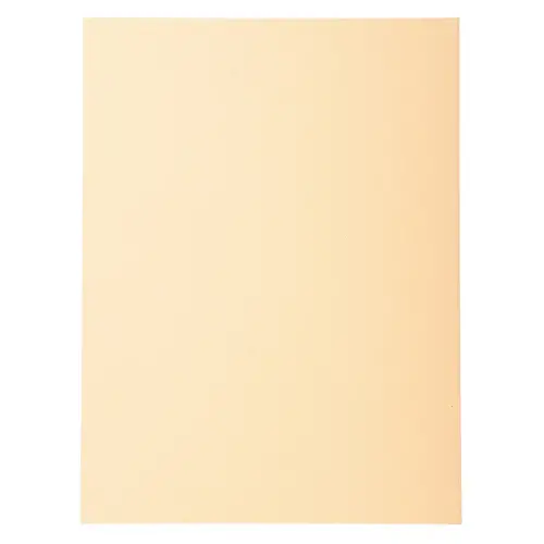 Paquet de 100 chemises Forever® 220 100% recyclé - 24x32cm - Bulle - EXACOMPTA