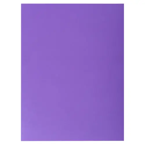 Paquet de 25 chemises Double Poche ROCK''S 210 - double A4 ou A3 - 24x32cm - Violine - EXACOMPTA 