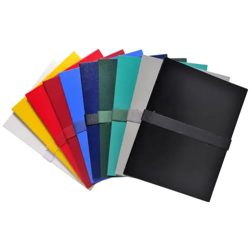Chemise dos extensible balacron et sangle scratch. - Couleurs assorties - EXACOMPTA