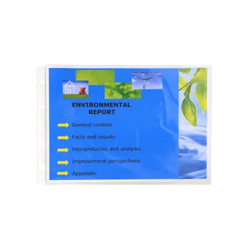 Sachet de 20 pochettes perforées horizontales Exactive - polypropylène lisse 5,5/100e - Cristal - EXACOMPTA