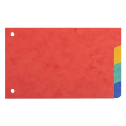 Intercalaires pour fiches bristol carte lustrée 225g/m2 4 positions - 100x150mm - EXACOMPTA
