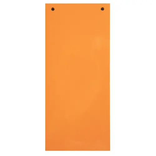 Paquet 100 fiches intercalaires horizontales unies perfor&eacute;es - 105 x 240 mm - Orange - Exacompta 