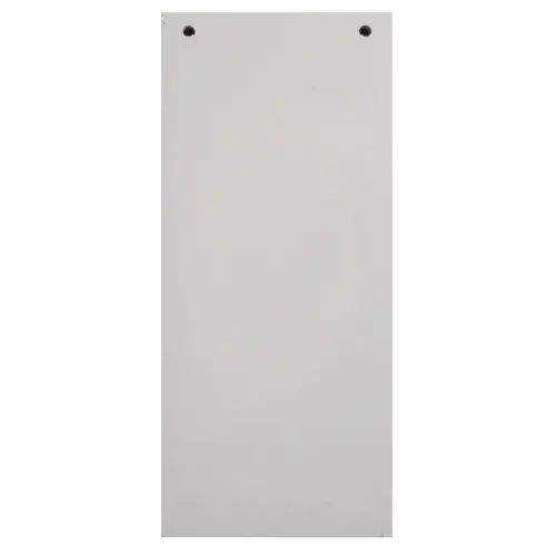 Paquet 100 fiches intercalaires horizontales unies perforées - 105 x 240 mm - Gris - Exacompta