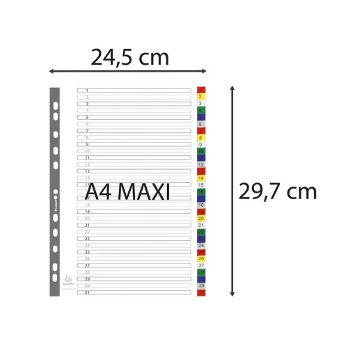 Intercalaires imprimés numériques PP couleurs 12/100e - 31 positions - A4+ - Assorties vives - EXACOMPTA