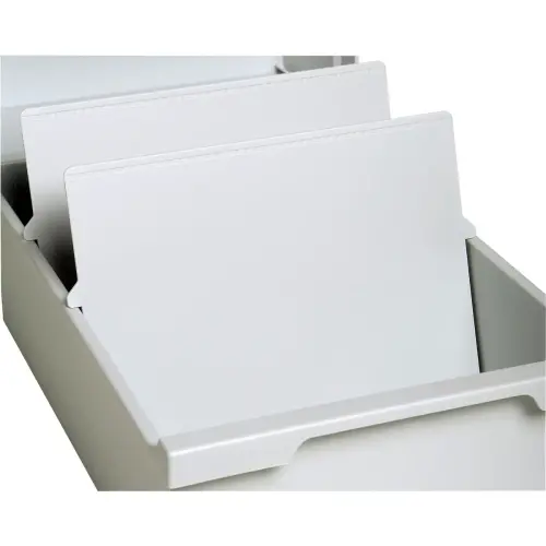 Intercalaire DIN A4 horizontal - Gris lumière - Exacompta