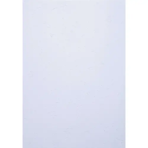 Paquet de 100 couvertures Grain cuir pour reliure A4 - Prestige - EXACOMPTA 