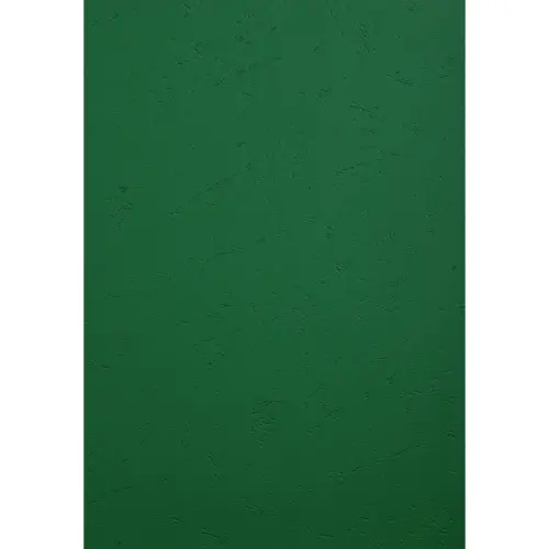 Paquet de 100 couvertures Grain cuir pour reliure A4 - Vert fonc&eacute; - EXACOMPTA 