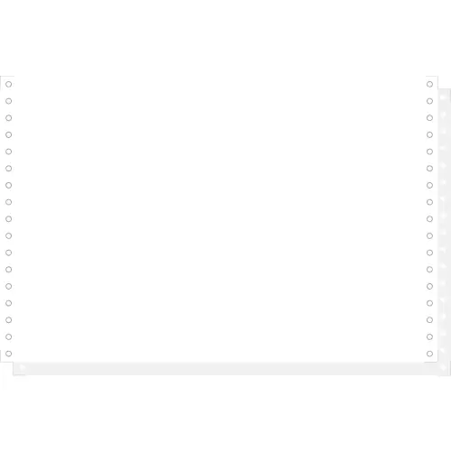 1000 feuillesles de listing autocopiantes blanc 330 x 8 1/2" 2plis Bandes Caroll D&eacute;tachables - Blanc - Exacompta 