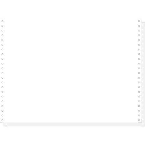 1000 feuilles de listing blanc autocopiant 380x11" 2plis Bandes Caroll Détachables - Blanc - EXACOMPTA