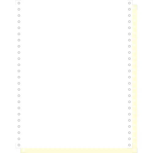 1000 feuillesles de listing autocopiantes blanc/jaune 240 x 12" 2plis Bandes Caroll Détachables - Blanc - Exacompta
