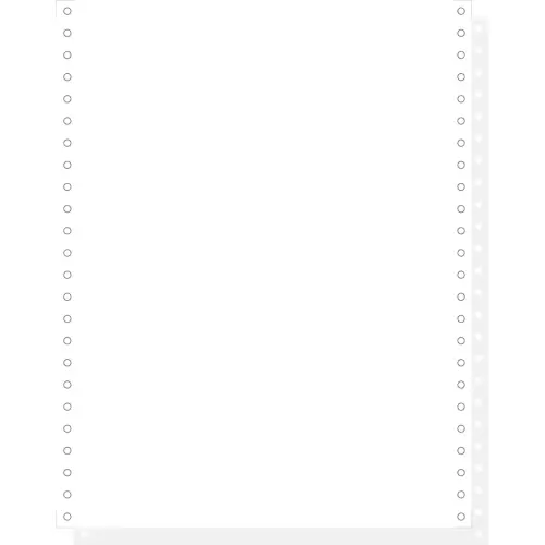 Listing informatique 2 plis - 240 mm x 12 pouces - Blanc - carton de 1000 - Exacompta 