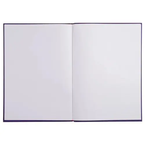 LIVRE D OR .1M. 297X210 VIOLET