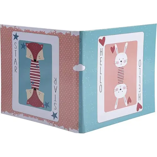 Livre album CARTE - 30 pages - 25 x 25 cm - Rose et bleu - Exacompta 