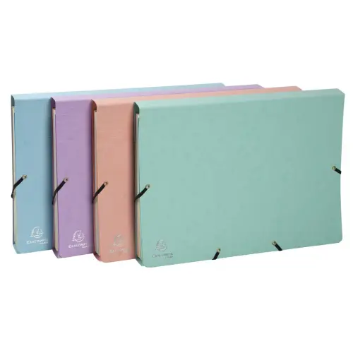Trieur avec &eacute;lastiques - 12 compartiments- 34 x 24,5 cm - Coloris pastel - EXACOMPTA 