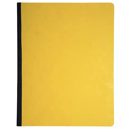 Piq&ucirc;re Tr&eacute;sorerie verticale - 31,5 x 24,5 cm - 6 colonnes d&eacute;bit / 6 cr&eacute;dit - 80 pages - Exacompta 