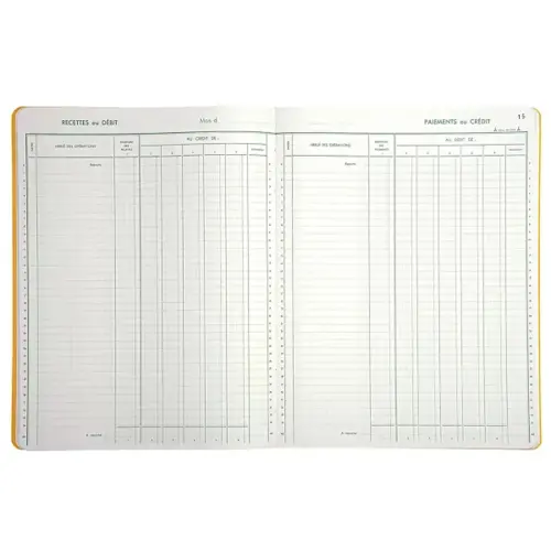 Piq&ucirc;re Tr&eacute;sorerie verticale - 31,5 x 24,5 cm - 6 colonnes d&eacute;bit / 6 cr&eacute;dit - 80 pages - Exacompta 
