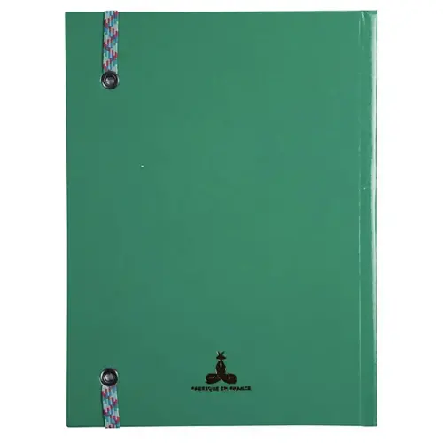 REG IDERAMA 220x170 192P LIGNE VERT FSC&reg; 
