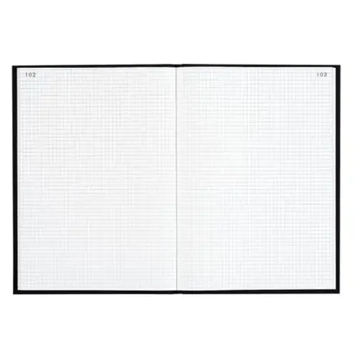Registre quadrillé 5 x 5 mm folioté - 34 x 22,5 cm - 400 pages - Exacompta