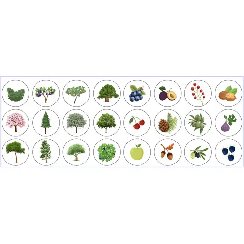 Rouleau de gommettes Arbres 360 unit&eacute;s - Apli 