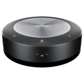 Haut parleur HAUT Bluetooth IIYAMA 