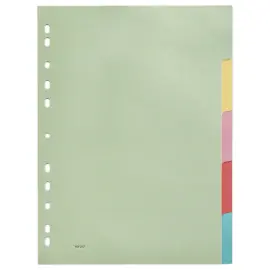 Jeu d'intercalaires multicolores carte 2,5/10e format A4 - 5 onglets 