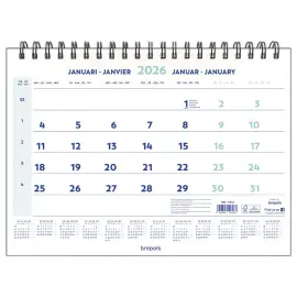Calendrier mural wire - 46  x 31 cm - Janvier &agrave; d&eacute;cembre - BREPOLS 
